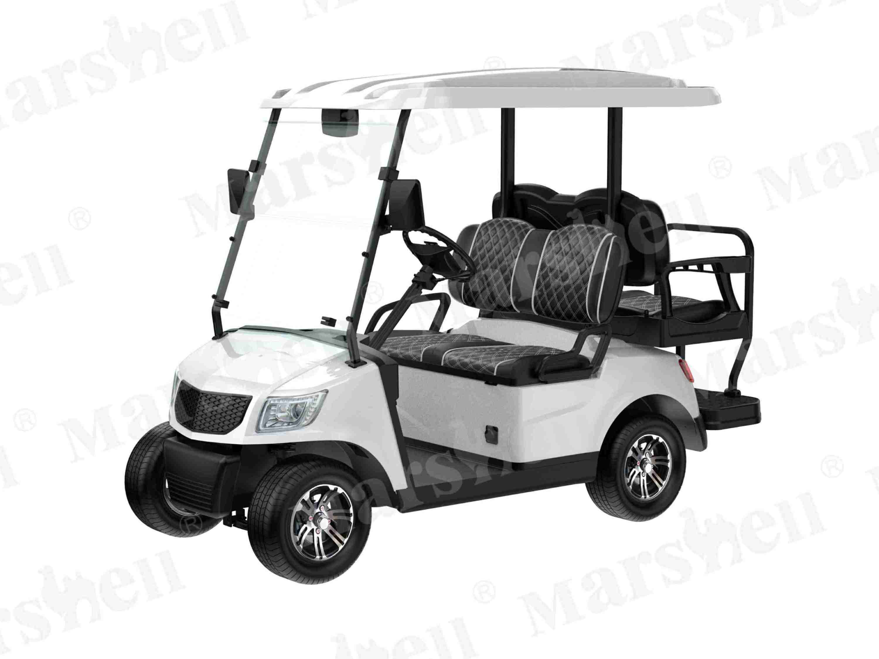 DG-M2+2 四座电动高尔夫球车